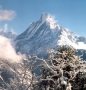 Mardi Himal Trek